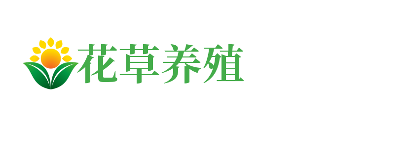 365买球官网 - 365(中国)